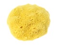 Natural Sponge