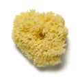 Natural sponge