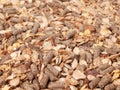 Natural sportive horse muesli background. macro