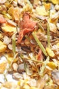 Natural sportive muesli background. for horse.macro