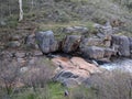 Natural spring in bushland