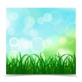 Natural spring green Background With Green Grass And bokeh light