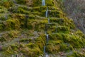 Natural spring with mineral drinking water in the wild with stones overgrown with moss. Background or backdrop