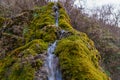 Natural spring with mineral drinking water in the wild with stones overgrown with moss. Background or backdrop