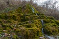 Natural spring with mineral drinking water in the wild with stones overgrown with moss. Background or backdrop