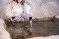 Natural spring water flowing from the pipe and the water trough Royalty Free Stock Photo