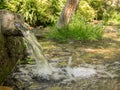 Natural spring water at forest Royalty Free Stock Photo