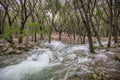 Natural springs ÃÂ¨Ses Fonts UfanesÃÂ¨in Mallorca