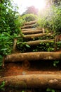 Natural staircase