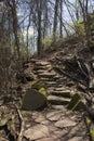 Natural staircase in the trail