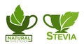 Natural stevia organic sweetener for dishes vector Royalty Free Stock Photo