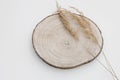 Natural still life. Wooden cutting board, timber with dry grass, festuca plant isolated on white table background Royalty Free Stock Photo