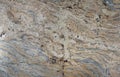 Natural stone beige granite with gray stripes, Golden cascade