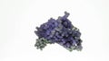 Natural stone-chalcedony spherulites grape chalcedony rotation on a white background