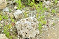 Natural stone dolomite in the limestone open-pit. Building materials, wall background Royalty Free Stock Photo