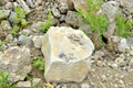 Natural stone dolomite in the limestone open-pit. Royalty Free Stock Photo