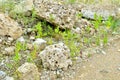 Natural stone dolomite in the limestone open-pit.