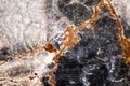 Natural Stone and marble Textures Royalty Free Stock Photo