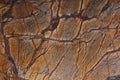 Natural stone orange marble with interesting dark streaks is called Bidasar Brown