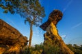 Natural stone pillars, sao chaliang,Pha Taem National Park. Royalty Free Stock Photo