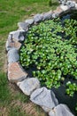 Natural stone pond