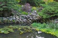 Natural stone pond Royalty Free Stock Photo