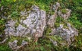 Natural stone rock wall background Royalty Free Stock Photo