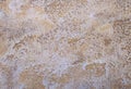 Natural stone shell rock texture background. stone limestone close-up Royalty Free Stock Photo