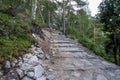 Stone Path in a Forest Surrounded by Green Forest at the Beginning of Hiking Trail to Preikestolen, Stavanger, Norway, July 2018 Royalty Free Stock Photo