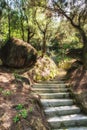 Natural stone stairs Royalty Free Stock Photo