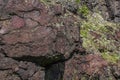 The Natural stone texture, big dark brown rock. Natural background. moss and lichens on the rocks