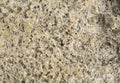 Natural stone texture photo background. Volcanic stone texture.