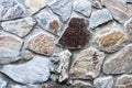 Natural stone wall with different size of rocks. Rustic stone veneer in shades of brown and beige; Wall covering with natural sto