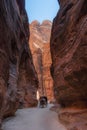 Natural stone wall with tourist carriage horse on narrow path in Petra, Jordan