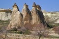 Natural stones in Cappadokia Royalty Free Stock Photo