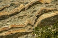 Natural stones and fragments of rocks with graceful plants on the mountain slopes near the Black Sea Royalty Free Stock Photo