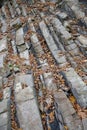 Natural stones near bank of river, Carpathian Mountains, Ukraine