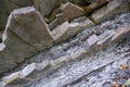 Natural stones near bank of river, Carpathian Mountains, Ukraine