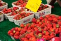 Natural strawberries in boxes at a farmers market