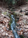 Natural Stream Cascading Over Rocks Through Laurels