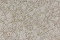 Natural structure of granite, yellow and beige, sanded board