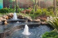 Natural style water scene,Small garden waterscape design