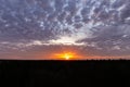 Natural sunset over the forest. Bright dramatic sky and dark earth