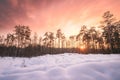 Natural Sunset Sunrise Over Forest. Pink Color Sky Over Winter Snowy Wood. Landscape Under Sky At Sunset Dawn Sunrise Royalty Free Stock Photo