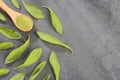 Natural sweetener in powder from stevia plant - Stevia rebaudiana. Top view