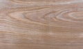 Natural Taiga birch wood grain texture pattern background Royalty Free Stock Photo