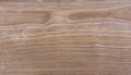 Natural Taiga birch wood grain texture pattern background Royalty Free Stock Photo