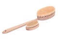 Natural tampico fiber body and face brushes