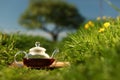 Natural tea Royalty Free Stock Photo