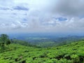 NATURAL TEA PLANTATIONS WITH A SUNNY MORNING VIEW OF CLOUDS Royalty Free Stock Photo